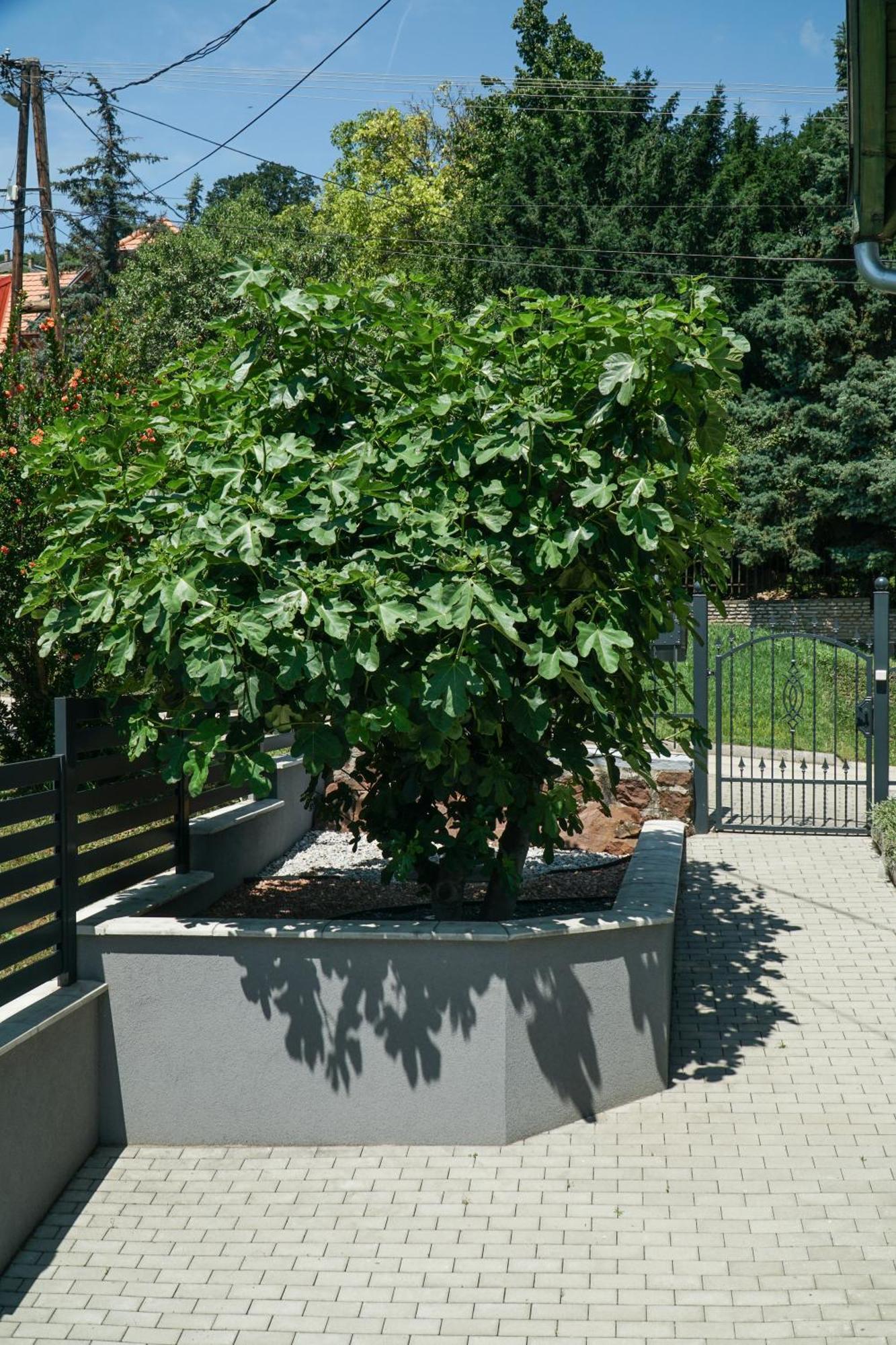 Fuegefa Apartman Balatonalmádi Exteriér fotografie